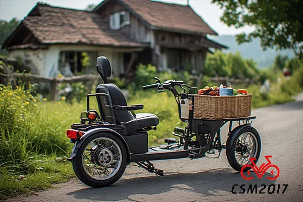 Električni tricikl za selo